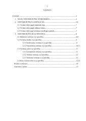 Vertimo rūšys ir jų specifika 2 puslapis