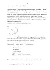 Vertimo rūšys ir jų specifika 10 puslapis