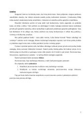 Pozicionavimas 2 puslapis