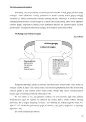 Pozicionavimas 13 puslapis