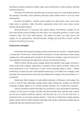 Pozicionavimas 17 puslapis