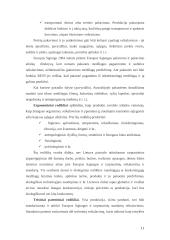 Prekės konkurencingumo tyrimas: skalbimo milteliai 11 puslapis