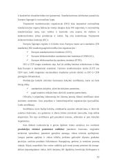 Prekės konkurencingumo tyrimas: skalbimo milteliai 12 puslapis