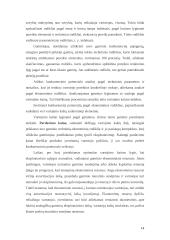 Prekės konkurencingumo tyrimas: skalbimo milteliai 14 puslapis