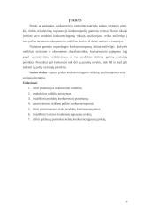 Prekės konkurencingumo tyrimas: skalbimo milteliai 3 puslapis