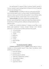 Prekės konkurencingumo tyrimas: skalbimo milteliai 5 puslapis