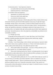 Prekės ženklas 11 puslapis