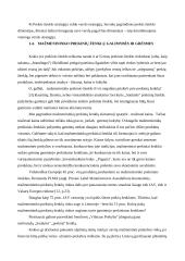 Prekės ženklas 13 puslapis