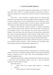 Kaimo plėtrą administruojančios institucijos Lietuvoje ir jų funkcijos 7 puslapis