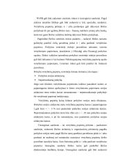 Prekybos  Lietuvos nacionalinėje vertybinių popierių biržoje tendencijos ir jų rodiklių dinamikos analizė 18 puslapis