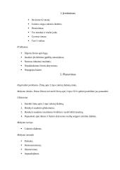 Paciento mokymo planas 3 puslapis