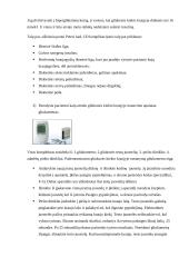 Paciento mokymo planas 6 puslapis