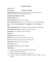 Sergančiojo psichikos sveikatos sutrikimu slaugos planas 2 puslapis