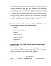 Sergančiojo psichikos sveikatos sutrikimu slaugos planas 12 puslapis