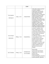 Sergančiojo psichikos sveikatos sutrikimu slaugos planas 13 puslapis