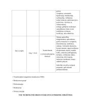 Sergančiojo psichikos sveikatos sutrikimu slaugos planas 14 puslapis