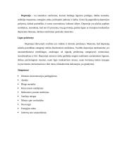 Sergančiojo psichikos sveikatos sutrikimu slaugos planas 15 puslapis