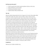 Sergančiojo psichikos sveikatos sutrikimu slaugos planas 16 puslapis