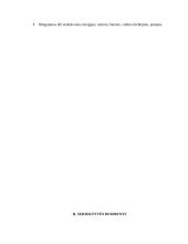 Sergančiojo psichikos sveikatos sutrikimu slaugos planas 3 puslapis