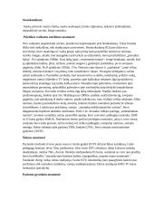 Sergančiojo psichikos sveikatos sutrikimu slaugos planas 4 puslapis