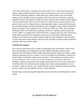 Sergančiojo psichikos sveikatos sutrikimu slaugos planas 5 puslapis