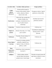 Sergančiojo psichikos sveikatos sutrikimu slaugos planas 8 puslapis