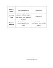 Sergančiojo psichikos sveikatos sutrikimu slaugos planas 9 puslapis