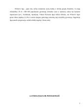 Vilsono (Wilson) liga 5 puslapis