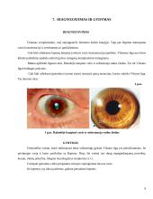 Vilsono (Wilson) liga 9 puslapis