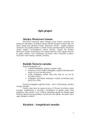 Apžvalginės pedagoginės praktikos ataskaita: lopšelis-darželis "Pasakaitė" 3 puslapis