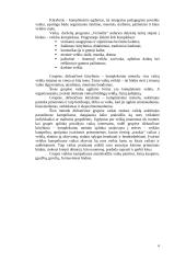 Apžvalginės pedagoginės praktikos ataskaita: lopšelis-darželis "Pasakaitė" 4 puslapis