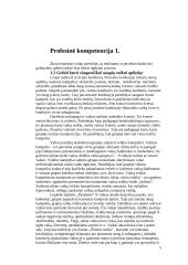 Apžvalginės pedagoginės praktikos ataskaita: lopšelis-darželis "Pasakaitė" 5 puslapis