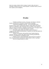 Apžvalginės pedagoginės praktikos ataskaita: lopšelis-darželis "Pasakaitė" 10 puslapis