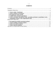 Civilinės teisės praktikos ataskaita: Vilniaus rajono apylinkės teismas 2 puslapis