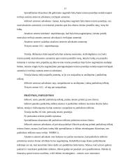 Civilinės teisės praktikos ataskaita: Vilniaus rajono apylinkės teismas 17 puslapis