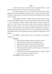 Prekybos moterimis ir prostitucijos aukų reabilitacija ir reintegracija 2 puslapis