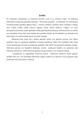 Pažintinės praktikos ataskaita: gamyba ir tiekimas 2 puslapis
