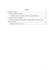 Praktikos ataskaita: Mažeikių rajono savivaldybė 2 puslapis