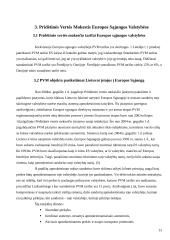 Pridėtinės vertės mokesčio (PVM) analizė Lietuvoje ir Europos Sąjungos (ES) šalyse 13 puslapis