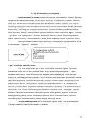 Pridėtinės vertės mokesčio (PVM) analizė Lietuvoje ir Europos Sąjungos (ES) šalyse 16 puslapis