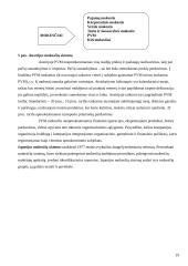 Pridėtinės vertės mokesčio (PVM) analizė Lietuvoje ir Europos Sąjungos (ES) šalyse 19 puslapis