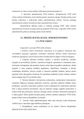 Pridėtinės vertės mokesčio (PVM) momento taikymas įmonėje: UAB "Perkūno namai" 13 puslapis