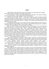 Pridėtinės vertės mokesčio taikymo ypatumai privatiems poreikiams tenkinti ir reprezentacinėms sąnaudoms 2 puslapis