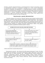 Pridėtinės vertės mokesčio taikymo ypatumai privatiems poreikiams tenkinti ir reprezentacinėms sąnaudoms 12 puslapis