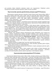 Pridėtinės vertės mokesčio taikymo ypatumai privatiems poreikiams tenkinti ir reprezentacinėms sąnaudoms 8 puslapis