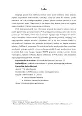 Pridėtinės vertės mokestis (PVM) Lietuvoje ir Europos Sąjungos (ES) šalyse 2 puslapis