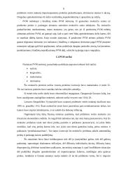 Pridėtinės vertės mokestis (PVM) Lietuvoje ir Europos Sąjungos (ES) šalyse 5 puslapis
