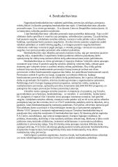 Administracinių teisės pažeidimų prevencija 7 puslapis