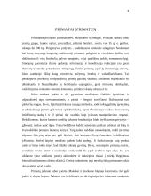 Primatų šeimos 4 puslapis