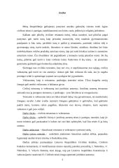Civilinis teisnumas ir veiksnumas 3 puslapis
